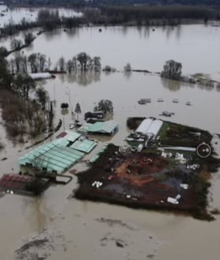 Floods inundated nearly 1/3 of King County's farmland