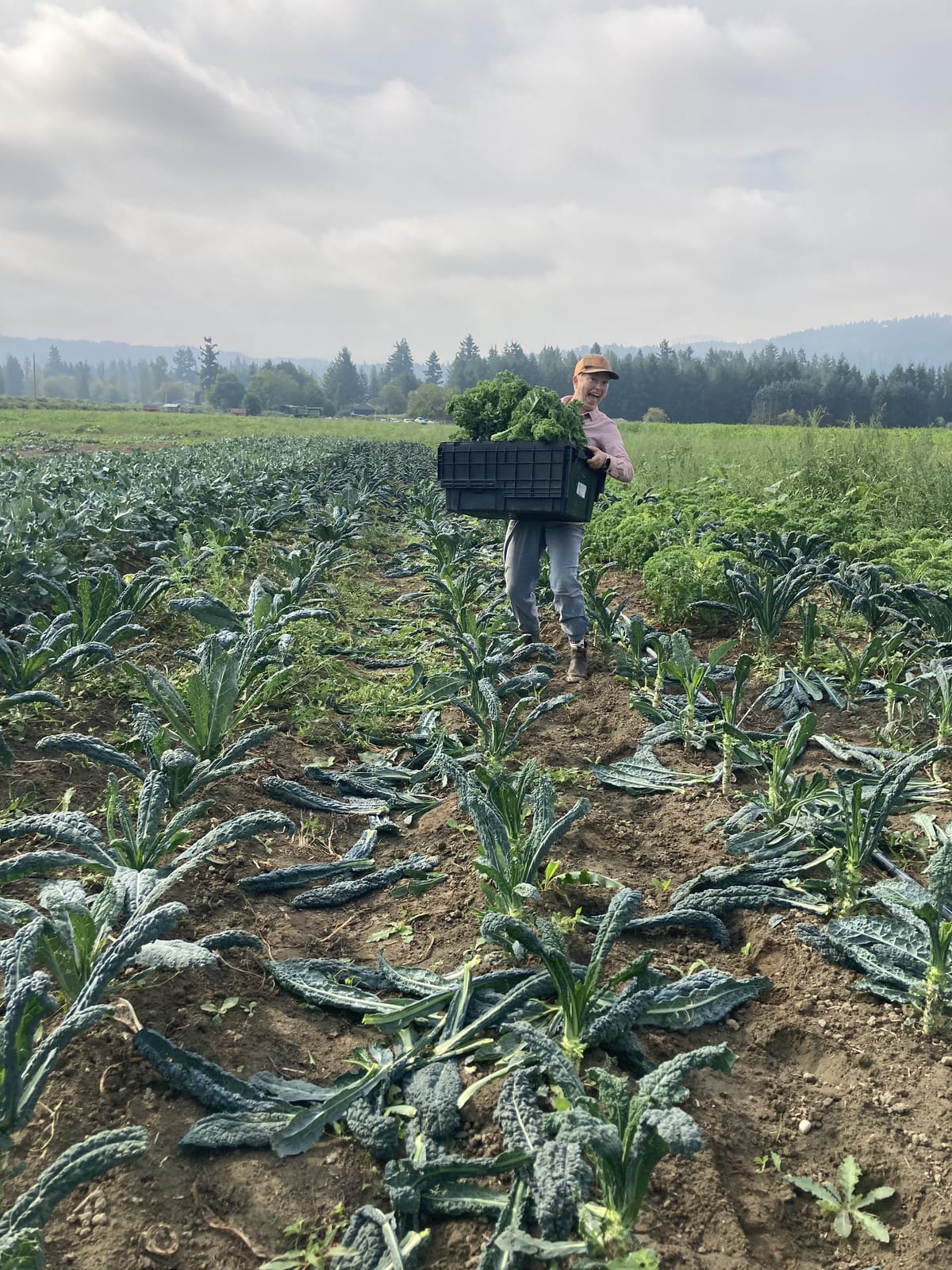 WSDA offers food infrastructure grants to farmers, ranchers and food businesses